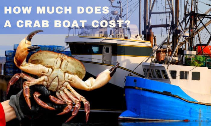 how much does a crab boat cost