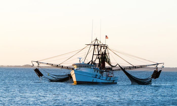 tuna-fishing-boat-prices