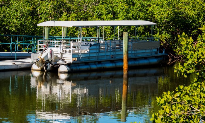 pontoon-boat-cleaning