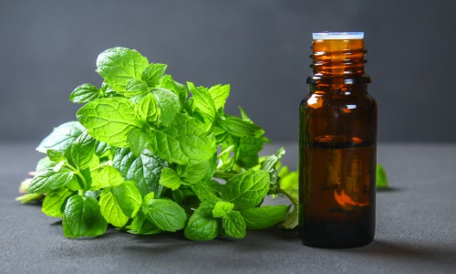 Use-peppermint-oil