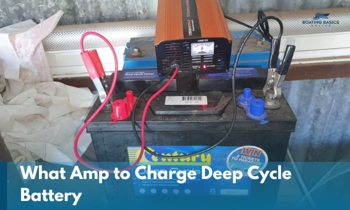 What Amp to Charge Deep Cycle Battery