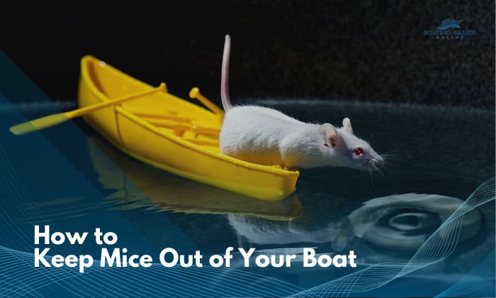 how to keep mice out of your boat