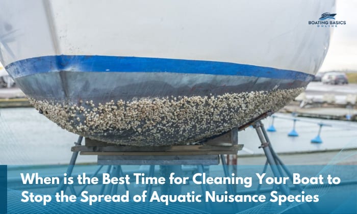 When is the Best Time for Cleaning Your Boat to Stop the Spread of Aquatic Nuisance Species